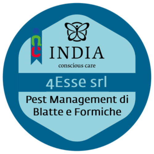 Pest Management di Blatte e Formiche
